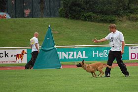 Yannick Kayser mit Indy vom further Moor