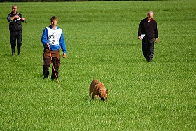 Yannick Kayser mit Indy vom further Moor