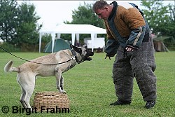 Steffen Klauke und Balou Steffen Klauke und Balou