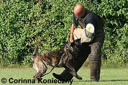 Mario Rommel und Magic