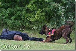 Raja bei der Anzeige