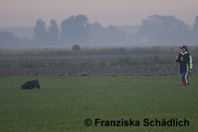 im Fährtengelände